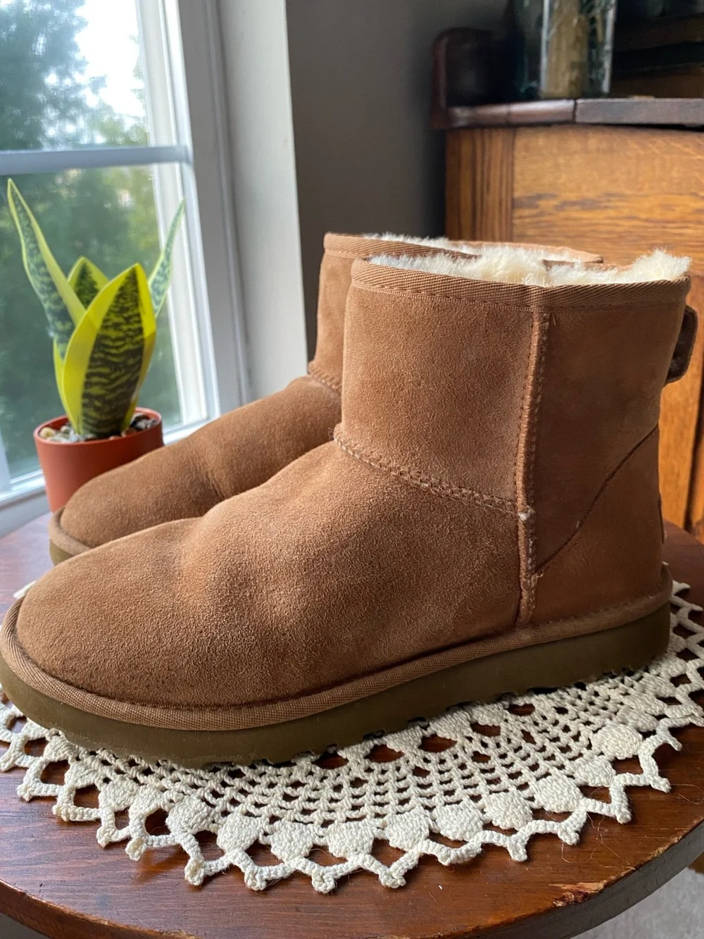 UGG Mini Boot in Chestnut Brown Suede Size 8 NEW